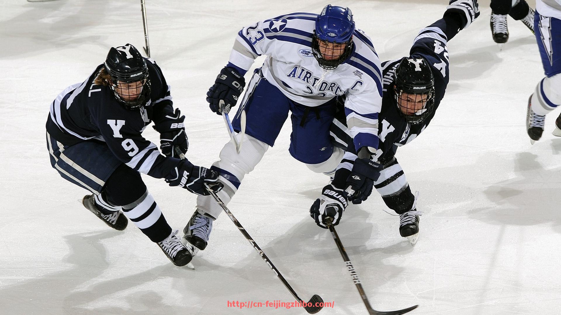 飞鲸体育直播-室内综合健身器材设计案例,现代体育空间建设参考